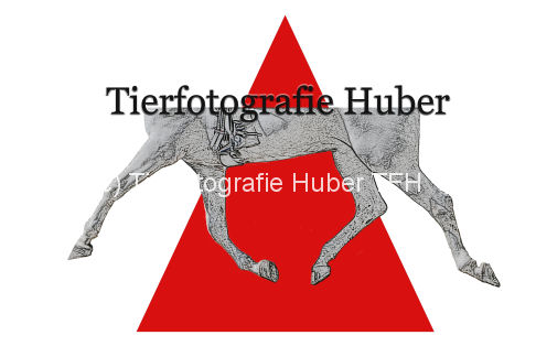 Logo TF-Huber dreieck.jpg